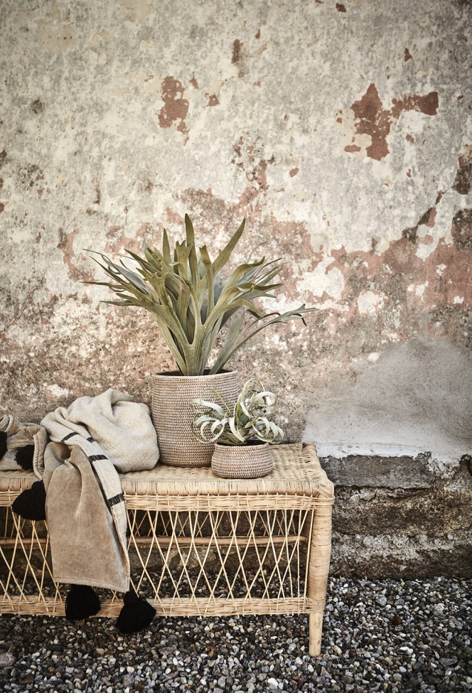 Salontafel 'Tribe' - Natuurlijk