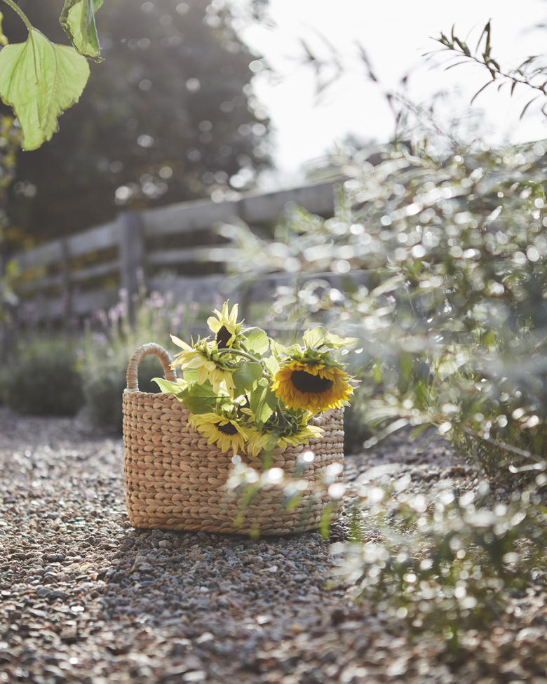 2-pack Mand 'Collect' - Natuurlijk