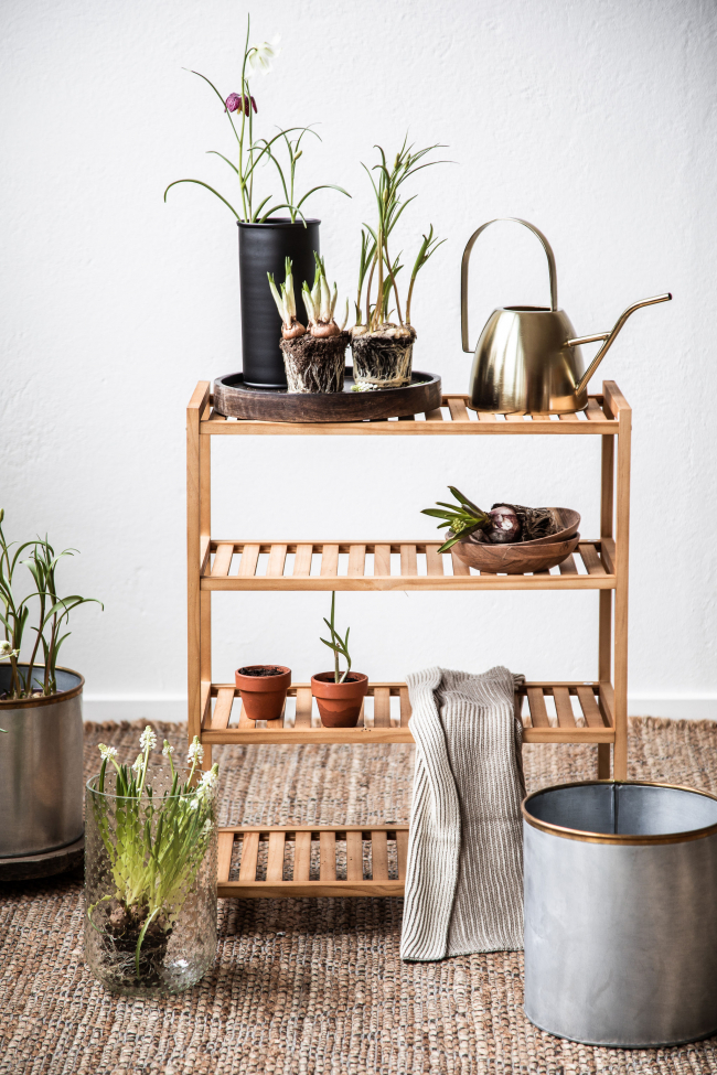 Schoenenrek 'Lone' 4 - Natuur