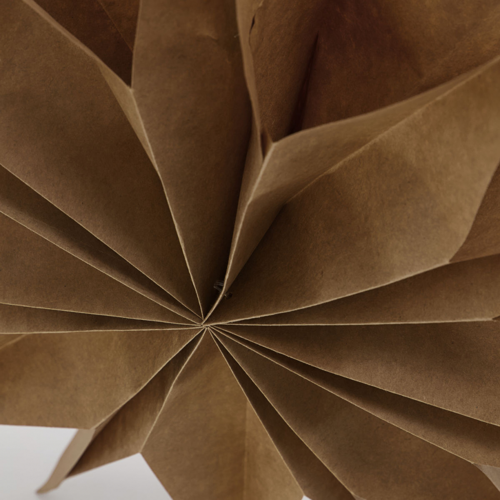 Kerstster 'Capella' L - Natuur