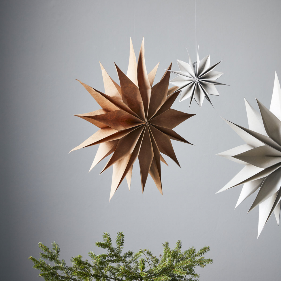 Kerstster 'Capella' L - Natuur