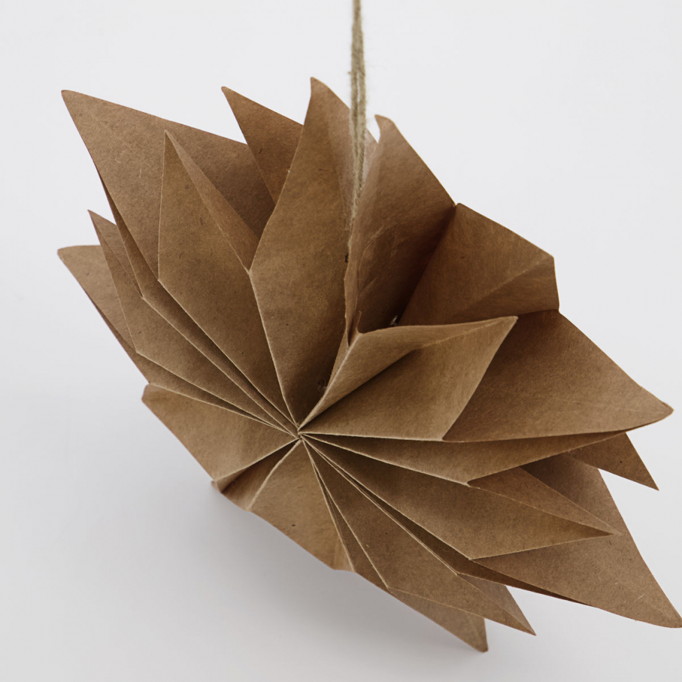 Kerstster 'Capella' S - Natuur