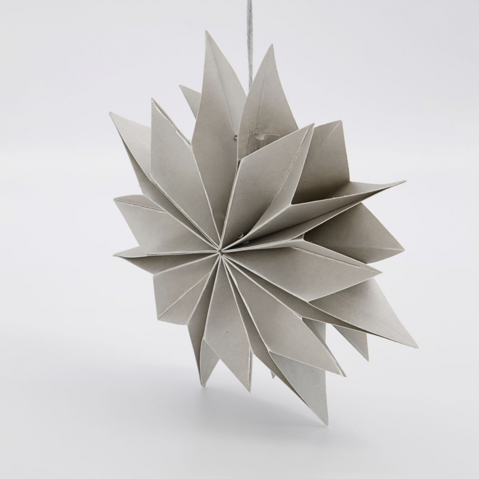 Kerstster 'Capella' - Parels