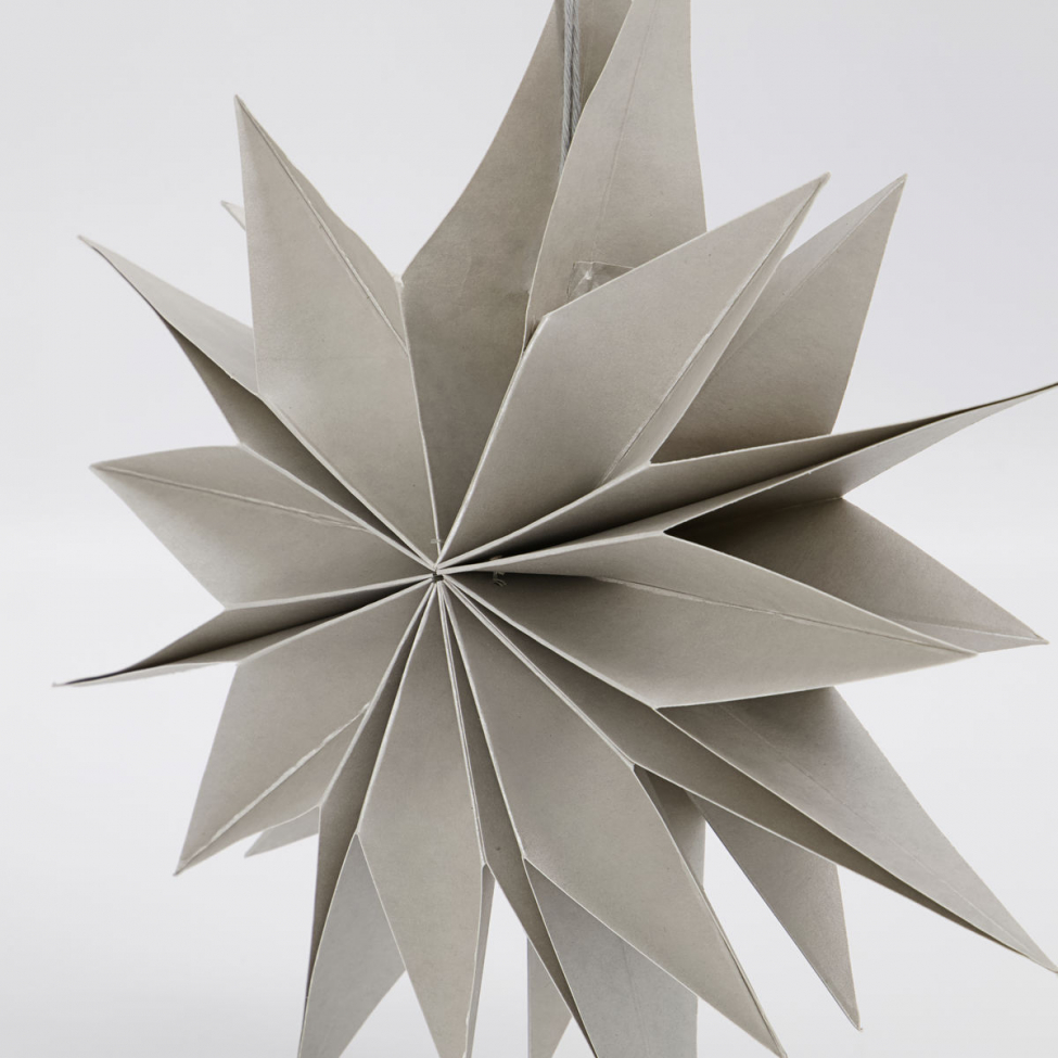 Kerstster 'Capella' - Parels S