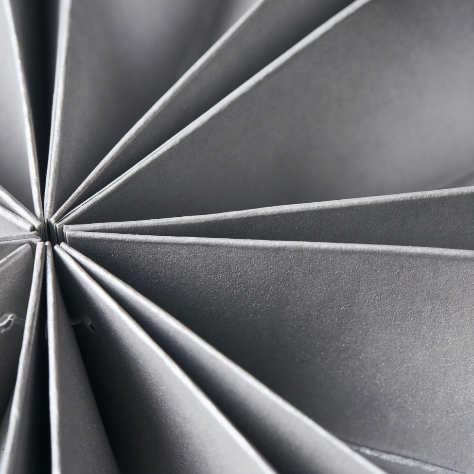 Kerstster 'Capella' - Parels S