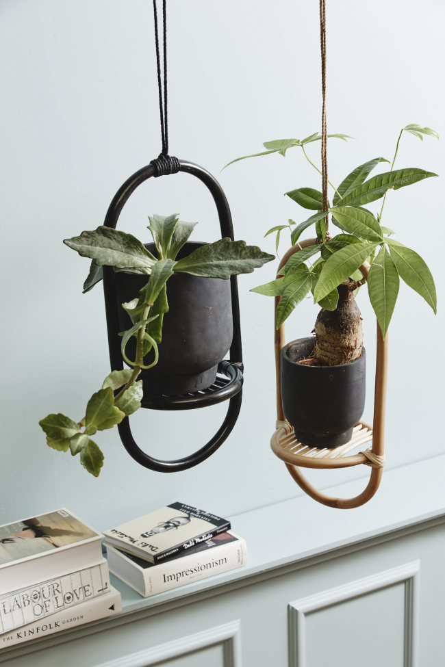 Ampel 'ELBA' - Natuur