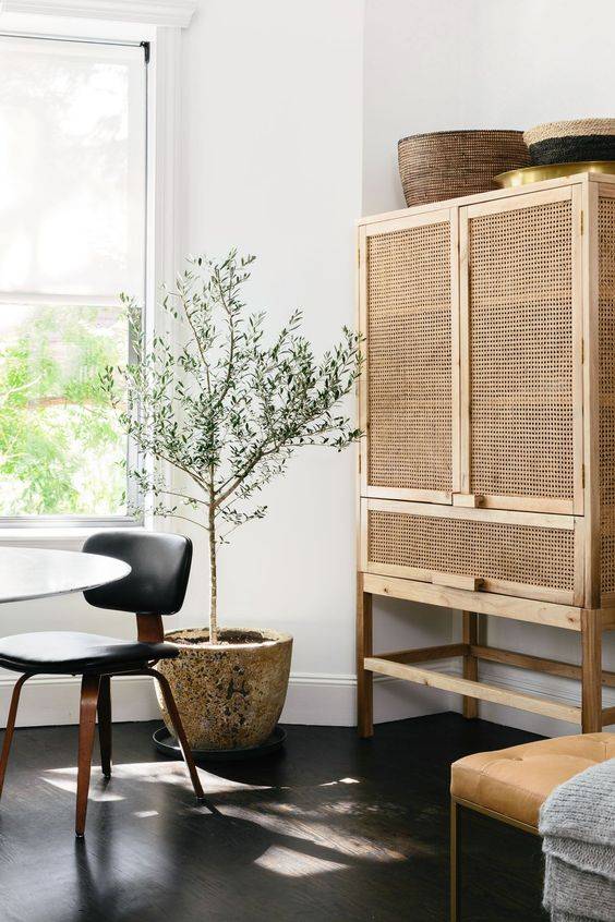 Kast 'Teak' - Natuur