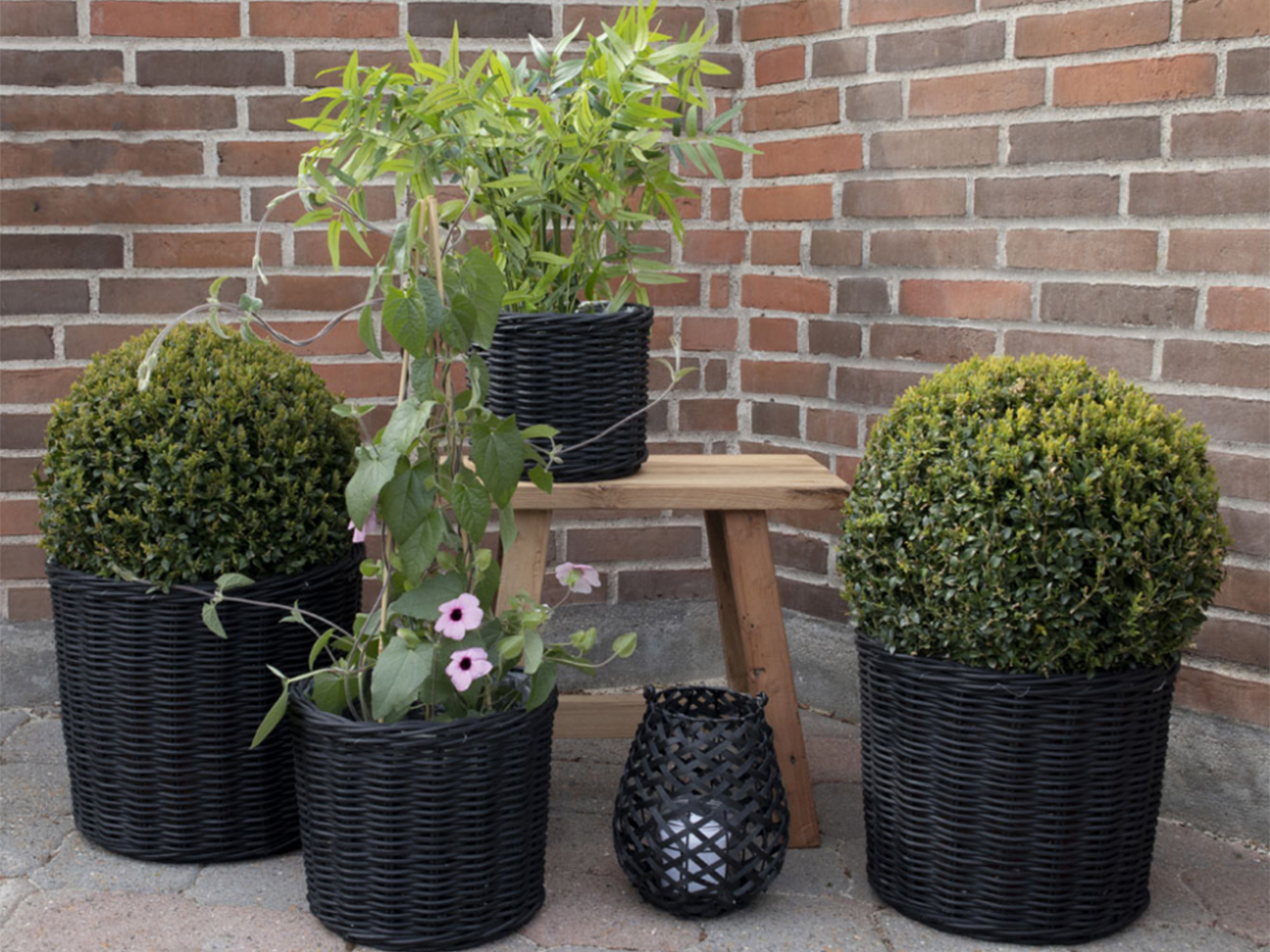 Mand 'Bogor Black' 4-pack - Zwart