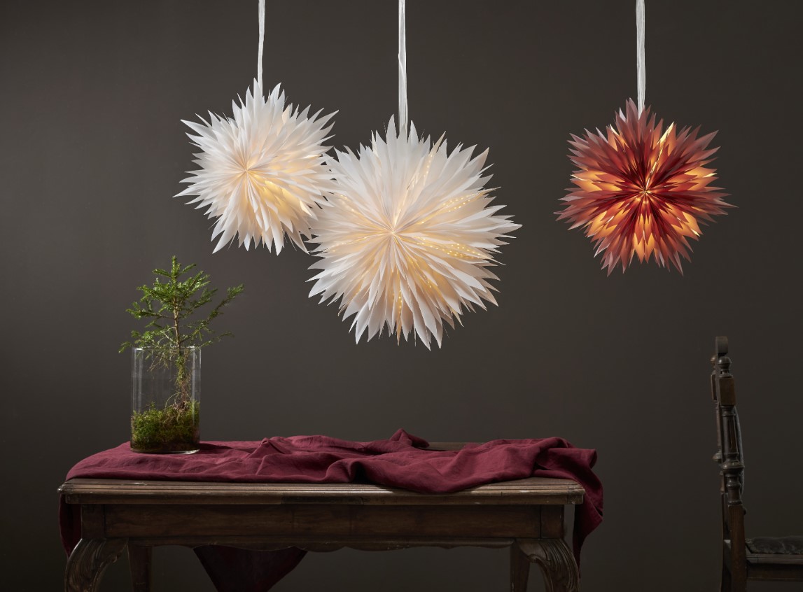 Kerstster 'Dis' - Wit