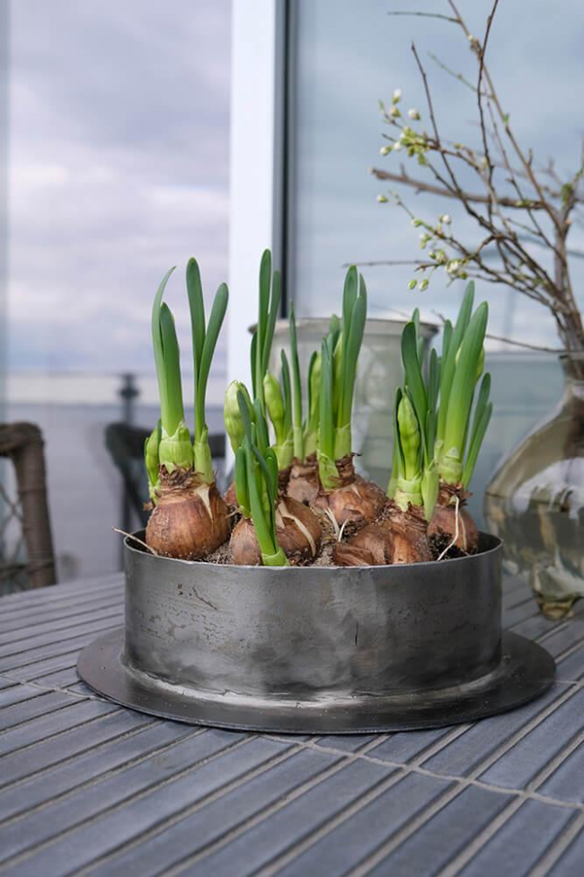 Pot 'Fred' L - IJzer