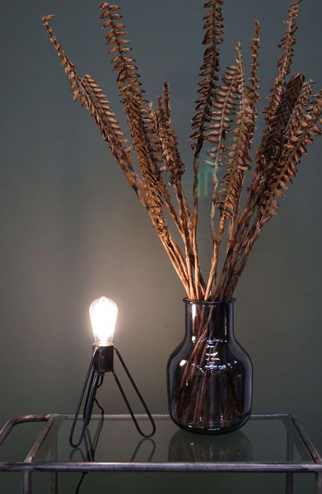 LED-lamp 'Ignis' Dimbaar